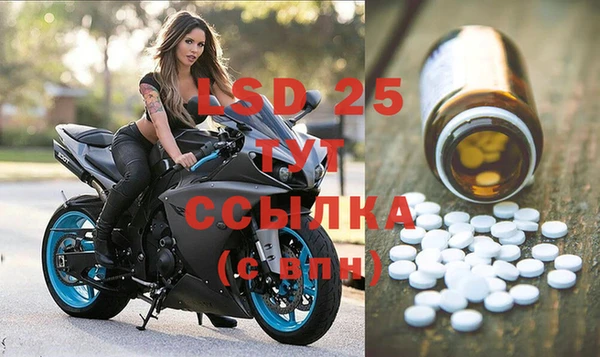СК Покачи
