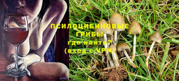 МДПВ Абаза