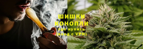 СК Покачи